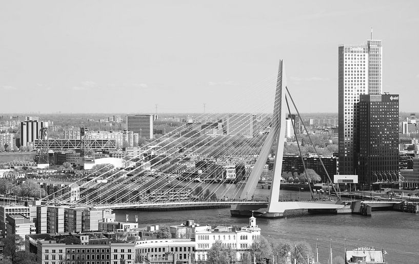 De Erasmusbrug in Rotterdam van MS Fotografie | Marc van der Stelt