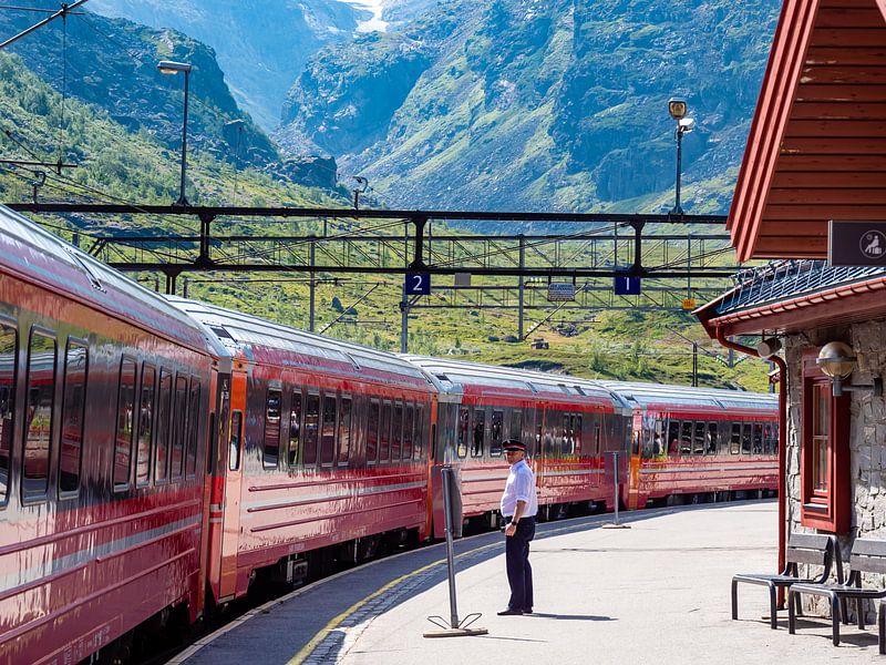 Der Zug in Flåm, Norwegen. von Vincent Bottema