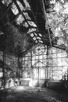 Where time took root