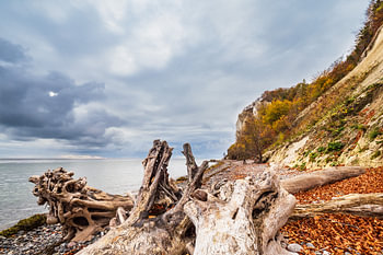 Ostseeküste auf der Insel Moen in Dänemark