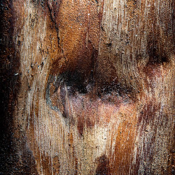 Birch bark 2 by Kees Brunia