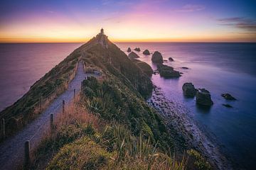 New Zealand Nugget Point Lighthouse Sunrise by Jean Claude Castor