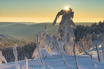 Sonnenaufgang über einem winterlichen Schwarzwald von André Post