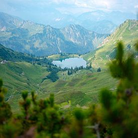 Uitzicht op de Seealpsee in de Allgäuer Alpen van Leo Schindzielorz