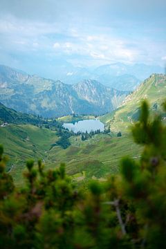 Uitzicht op de Seealpsee in de Allgäuer Alpen van Leo Schindzielorz