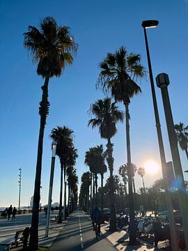Barcelona beach by StudioMaria.nl