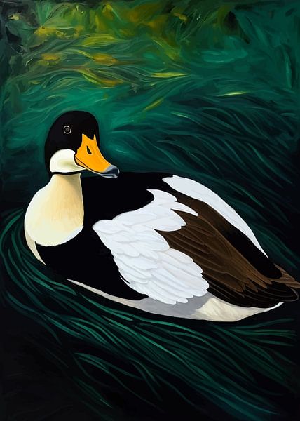 Common Eider Duck by MIROKKU