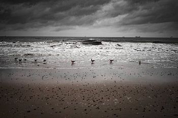 ZIcht op de koude Noordzee