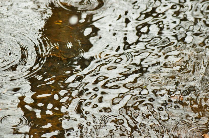 Wind door het water par Marian Steenbergen