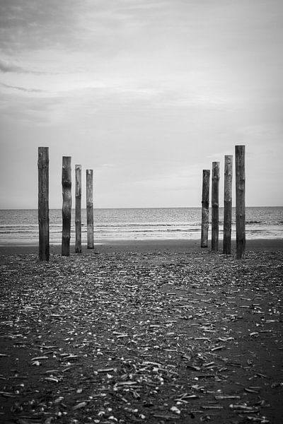 Wood poles in the sand, Schiermonnikoog II van Luis Boullosa