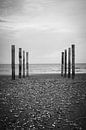Wood poles in the sand, Schiermonnikoog II van Luis Boullosa thumbnail