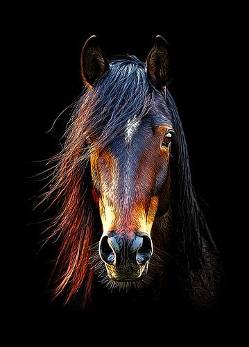 Arabian thoroughbred horse