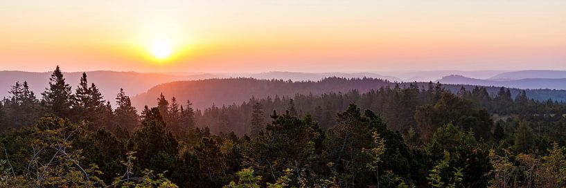 Sunrise at Schliffkopf mountain, Black Forest, Germany by Werner Dieterich