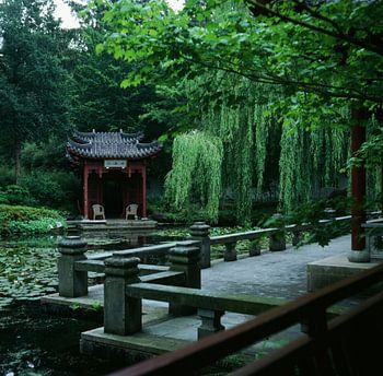 Scène asiatique de l'humeur