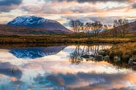 Evening atmosphere at the lake in the Highlands by Daniela Beyer thumbnail
