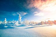 Zonsopkomst Lapland in de sneeuw van HansKl thumbnail