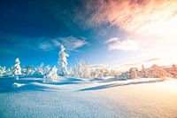 Zonsopkomst Lapland in de sneeuw