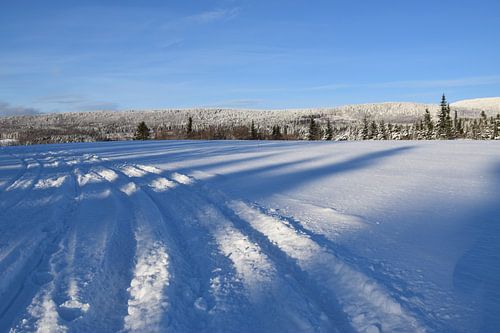 Een sneeuwscooterpad in een veld