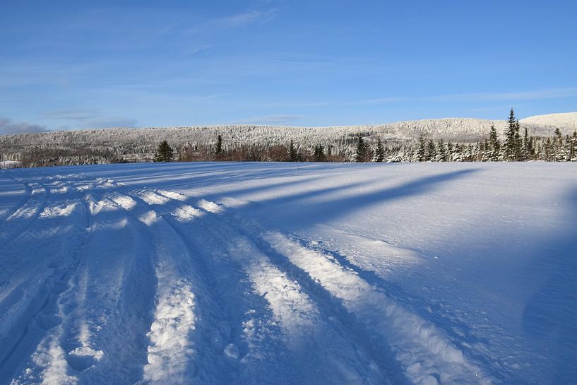 A snowmobile trail in a field by Claude Laprise