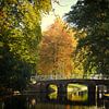 De Maliebrug over de Stadsbuitengracht in Utrecht in de herfst van De Utrechtse Grachten