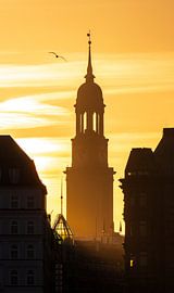 Michel Hamburg bij zonsondergang van Nils Steiner