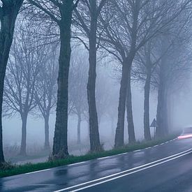 Geschwindigkeit auf einem nebligen Winterdeich mit kahlen Bäumen von Gert van Santen