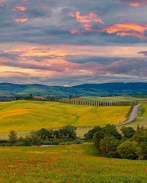 Sonnenaufgang im Agriturismo Poggio Covili