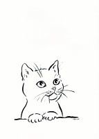 Cute cat pen and ink drawing