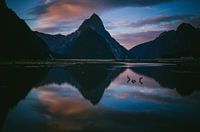 Sonnenuntergang am Milford Sounds