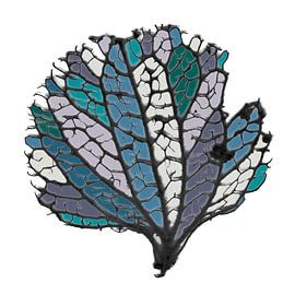 Colored leaf veins by Raoul Suermondt