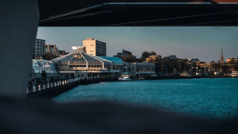 Tropicana under the bridge van Jelte Lagendijk