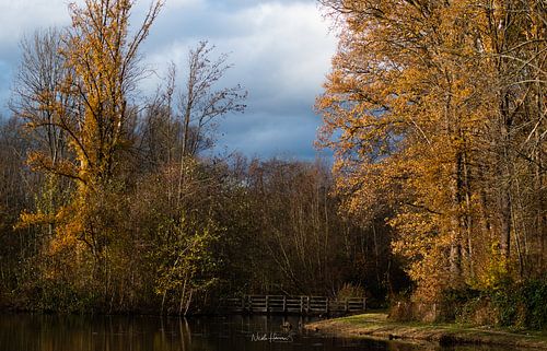 pont sur les eaux troubles