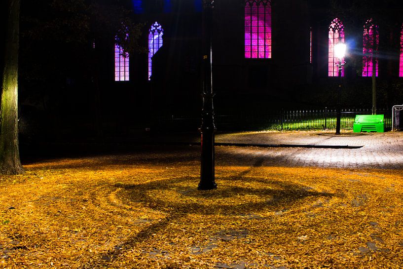 Blad in de spotlight by Sander Rozemuller