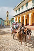 Cubaanse koetsier met vriendelijke lach in Trinidad
