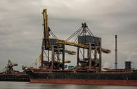 Grote bulkcarrier en grote hijskranen in de haven van scheepskijkerhavenfotografie thumbnail