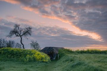 Der Bunker von Jan Koppelaar