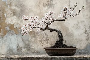 Bonsai-Stillleben einer Mandelblüte
