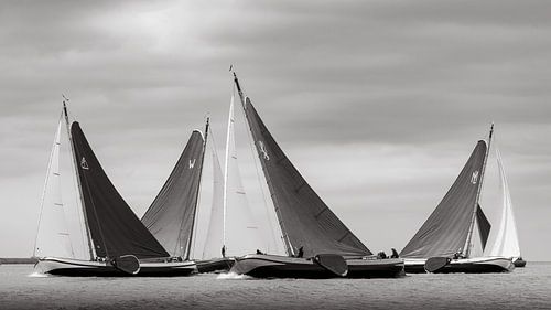 Anmutiges Segeln auf dem IJsselmeer von ThomasVaer | Tom Coehoorn