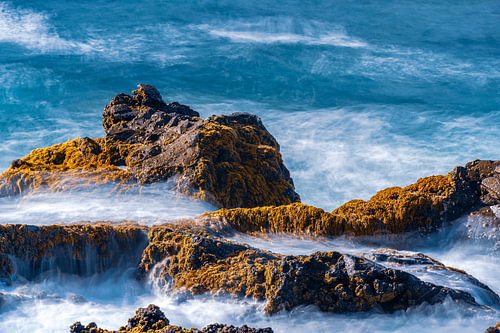 Goldene Algen und raue Wellen an der Küste von La Palma