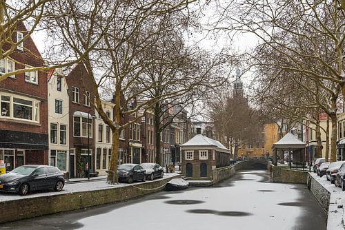 Visbanken in de winter
