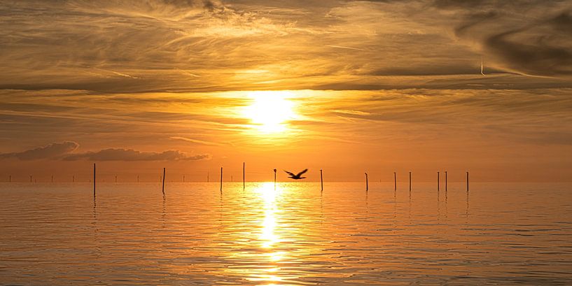 Sunset over the IJsselmeer with a heron flying by by Harrie Muis
