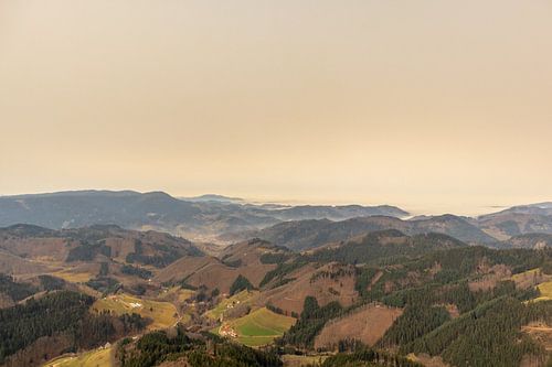 Op verkenning in het mooie Zwarte Woud bij Oppenau