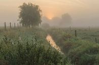 Sunrise at the Creek van Fotografie Krist / Top Foto Vlaanderen thumbnail