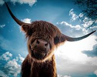 Portrait of a Scottish Highlander