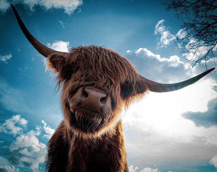 Portrait of a Scottish Highlander by Titi-Kiekt