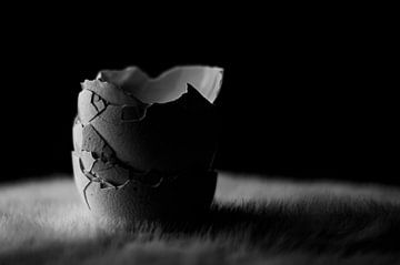 Silent Fractures van KDX