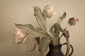 Tulips, a romantic, slightly classic scene, in soft colours