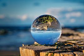 Glazen bol op een krib op de Oostzee. De krib wordt weerspiegeld in de bol.