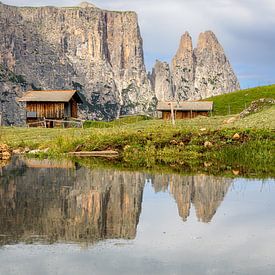 Schlern on the Seiser Alm by Dirk Rüter