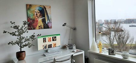 Meisje met de Parel - The Full Colour Edition